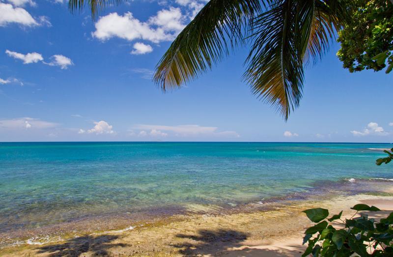 Tres Palmas Inn And Villas リンコン エクステリア 写真