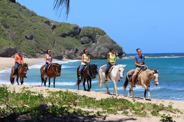 Tres Palmas Inn And Villas リンコン エクステリア 写真